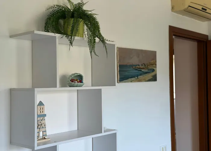 Seafair רימיני